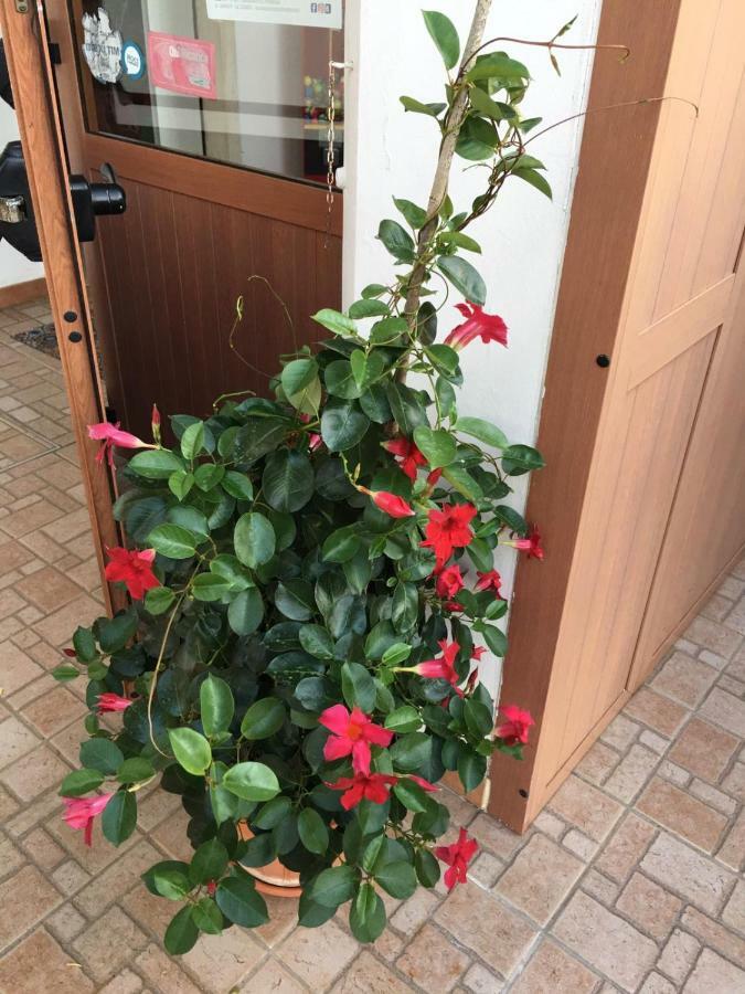 U' Fore B&B Relax Garden Noci Buitenkant foto